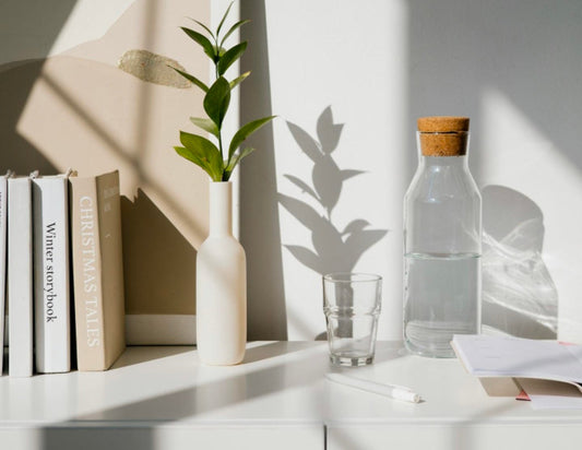 Essential Tips For Plant Care In Summer