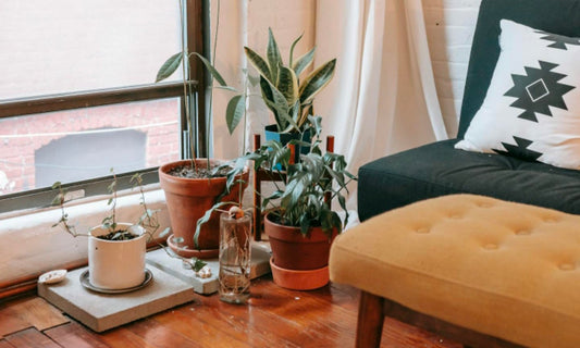 Inspiration For Home Gardeners In India: Finding Green In Every Corner