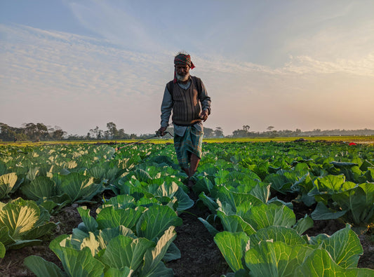 Best Of 2023: 4 Innovative Farming Trends That Grabbed Attention