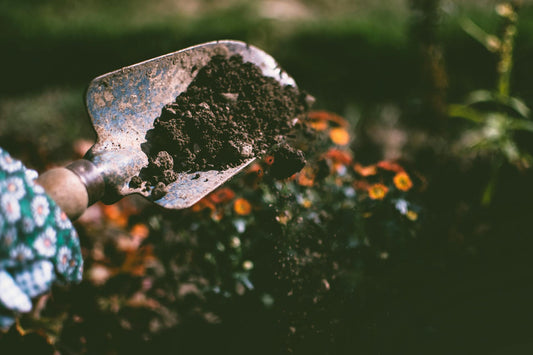 Gardening: Embracing Matrix Planting For A Sustainable And Thriving Landscape