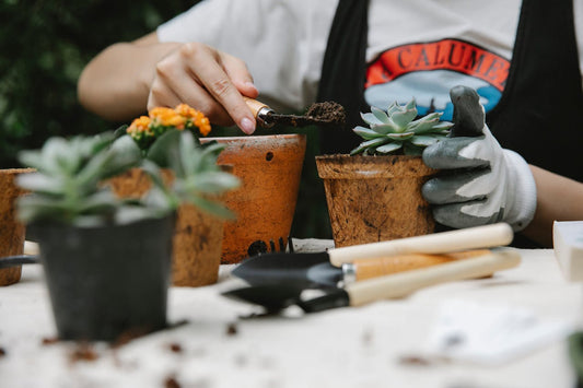 Here's How You Can Embrace Gardening And Cultivate A Greener, Healthier Future