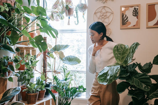 Gardening: A Beginner’s Guide To Picking The Perfect Plant For Your Personality