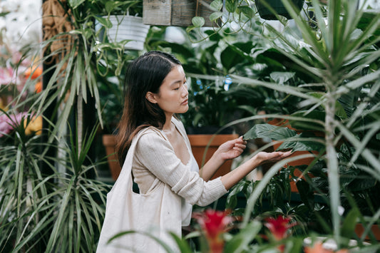 How To Choose The Perfect Plants For Your Garden