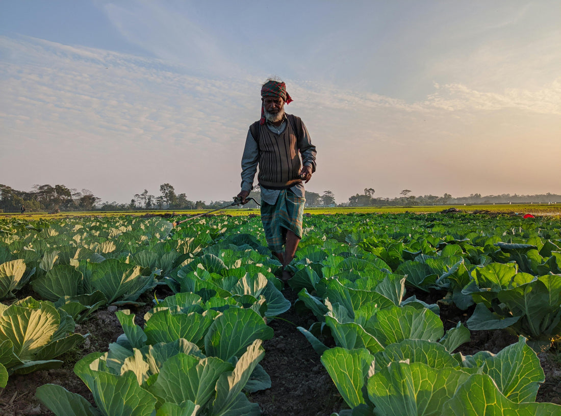 Best Of 2023: 4 Innovative Farming Trends That Grabbed Attention