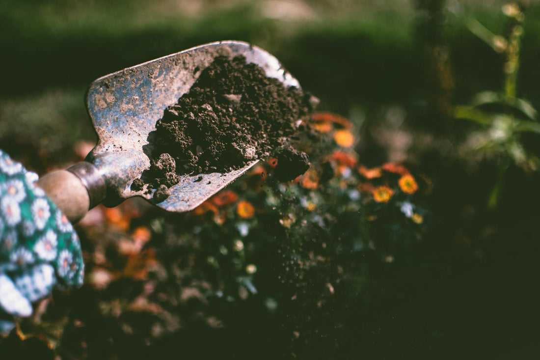 Gardening: Embracing Matrix Planting For A Sustainable And Thriving Landscape